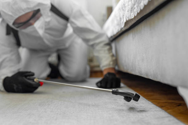 Professional Bed Bug Control technician working in Bridge City, TX