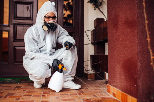 Reliable Bed Bug Control contractor in Bridge City, TX by Nex Pest Control